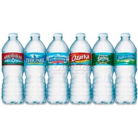 NESTLE WATERS Nestle Premium Spring Bottled Water, 16.91 Oz, 24/Carton NLE101243